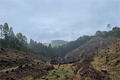 伐採跡地の再造林を加速し、国内林業の活性化へ～「林業×金融」で経済性を高めた森林経営を実現～