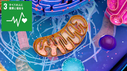 -細胞内のタンパク質合成工場を試験管で再現-リボソーム生合成の試験管内再構成に成功