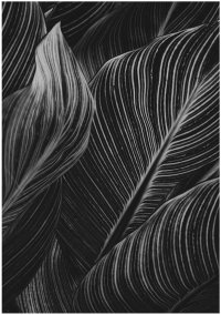 【東京工芸大学】日本とスウェーデンで写真を学ぶ両国学生による共同写真展を都内2会場で3月に開催