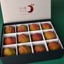 贈答用ライチ 贈答用ライチ