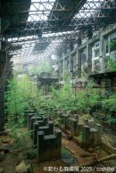 展示作品(3) 展示作品(3)