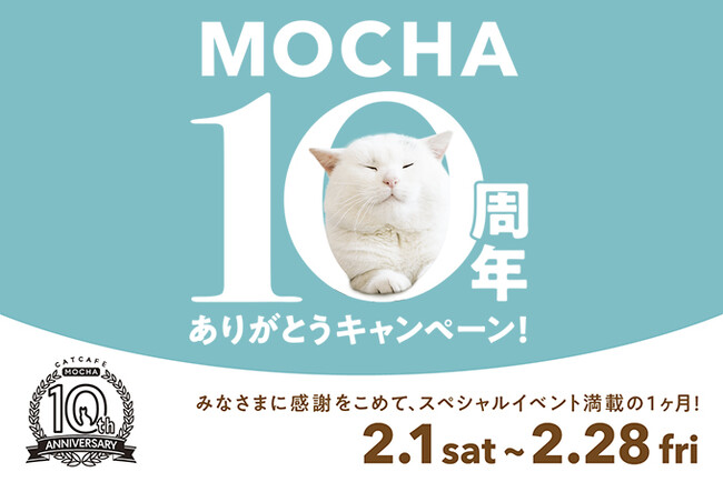 猫カフェMOCHA全店舗で10周年イベント開催決定！大切な節目にお客様に感謝を込めて、特別な時間を。猫の日には限定の豪華グッズが当たるキャンペーンも実施！「MOCHA 10周年ありがとうキャンペーン」
