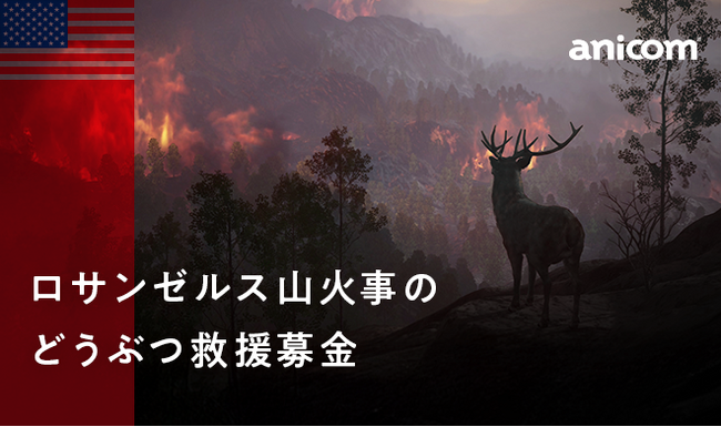 『ロサンゼルス山火事のどうぶつ救援募金』を実施します