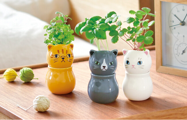 猫の日に合わせてギフトにいかが？ネコが喜ぶ植物を育てるキットから陶器製のネコでハーブを育てるキットまで。2025春夏の聖新陶芸は「ねこまみれ」の栽培セットをラインアップ。2025年1月27日発売開始