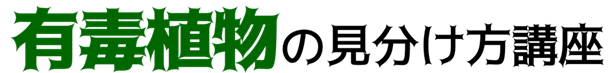 「有毒植物の見分け方講座」参加者を募集します