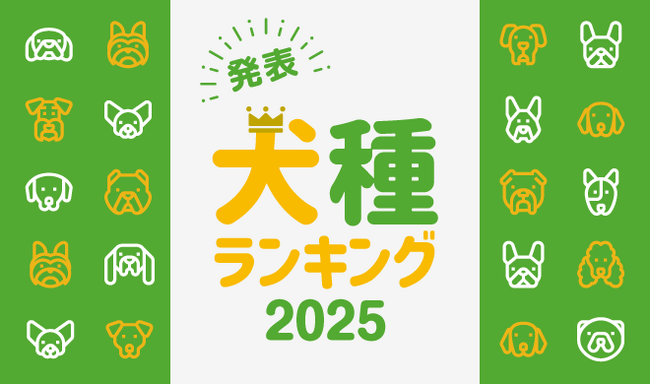最新版！『人気犬種ランキング2025』