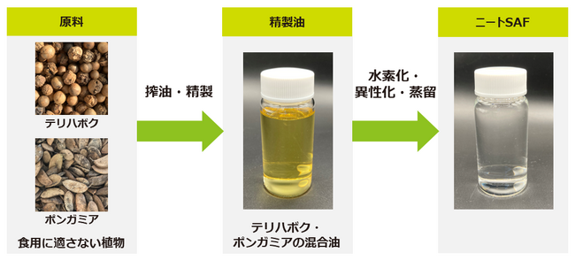 新たなSAF原料確保への期待となる、食用に適さない植物のテリハボクとポンガミアから100%バイオマス由来SAFの生成に成功しました