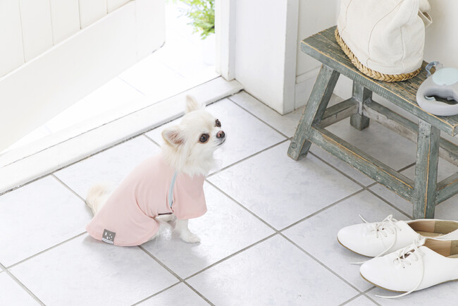 新発売 犬用ペットウェア「花粉対策カットソー」春のお散歩ライフを快適に、ペットとのくらしをもっと楽しく