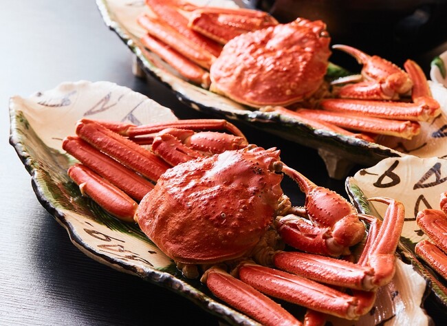 “25歳以下限定”で蟹プレゼント！兵庫・城崎温泉のリゾートホテルにて卒業旅行応援プラン販売開始｜2025年3月1日～3月31日