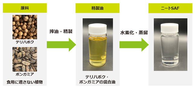 新たなSAF原料確保への期待となる、食用に適さない植物のテリハボクとポンガミアから100%バイオマス由来SAFの生成に成功しました
