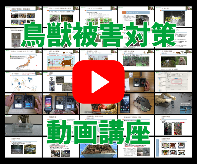 超実践型『鳥獣被害対策 動画講座』がスタート！誰でも取り組める、実践的で効果的な鳥獣被害対策のノウハウを完全無料でご提供！