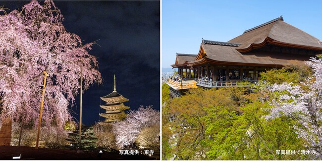 HOTEL THE MITSUI KYOTO　世界遺産「東寺」「清水寺」を独占する特別拝観