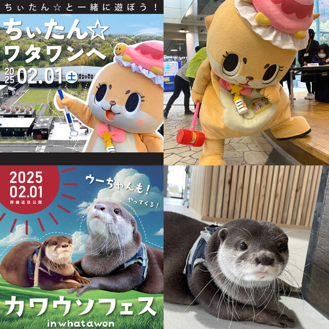 【ちぃたん☆ワタワンへ】SNSで話題のコツメカワウソの妖精が南大阪で大暴れ！