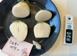 ミルキーベリー ミルキーベリー