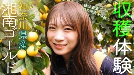 YouTube番組「ゆるふわたいむ」 YouTube番組「ゆるふわたいむ」