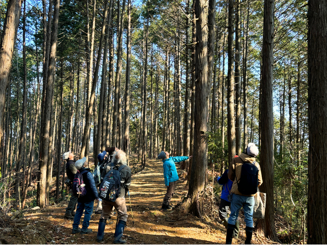 相模原市の森林・里山の新たな価値を作り届ける！株式会社プノントイが、富士急グループ「さがみ湖MORIMORI」の森林を活用した自然体験型企業研修を2/19（水）モニター開催