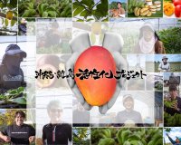 ＜クラウドファンディング＞沖縄・離島活性化プロジェクト 第1弾始動