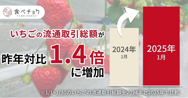 食べチョク、いちごの流通額が1.4倍に急増。生産者の約9割が収穫量減を実感しており、不作による価格高騰の影響で産地直送のいちごを求める人が増加中。