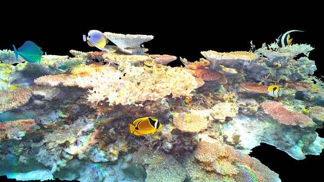 水中ドローンでサンゴ礁を3Dスキャン、NFT化してデータを永久保存するプロジェクトが始動！