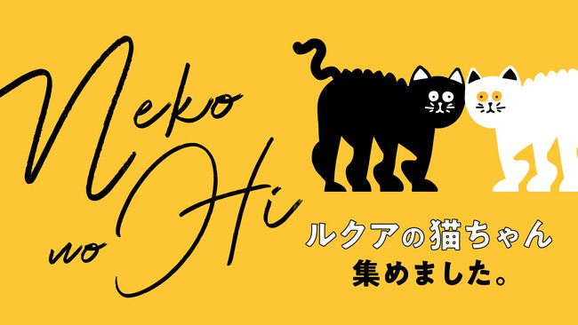 2月22日の「猫の日」にあわせて、ルクア大阪が猫だらけ！?