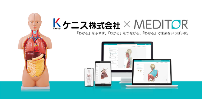 もう怖くない！理科室の人体模型がもっと身近に、もっと自分ゴトに！株式会社レーマンの医学教育アプリケーション「MEDITOR(R)」がケニス株式会社の「人体模型」とコラボレーション決定！