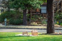 春風とともに楽しむ新しいブランチ体験「ガーデンピクニックブランチ」、大阪ベイエリアのホテル・ロッジ舞洲が3月1日より宿泊プランとして提供開始