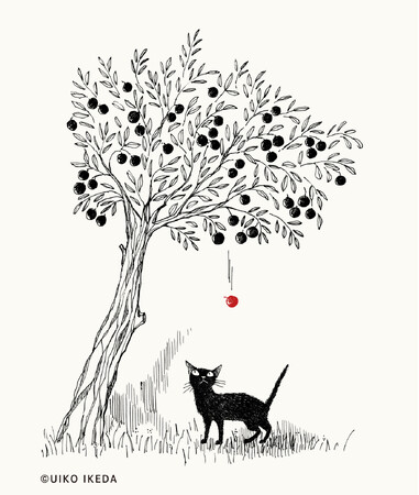 『GOMA 黒ネコ、日々色々。』発売のお知らせ