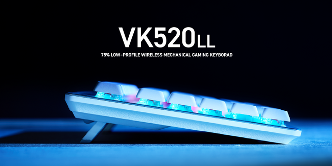 操作ミスを防ぐキー設計で高速入力と快適な操作を追求！『ELECOM GAMING V custom』より75%メカニカルゲーミングキーボード、ロープロファイルモデル“VK520LL”を新発売