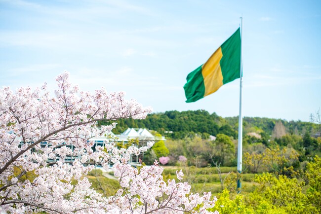 大学共通テスト利用で最大360万円給費2025年度新設入試のご案内