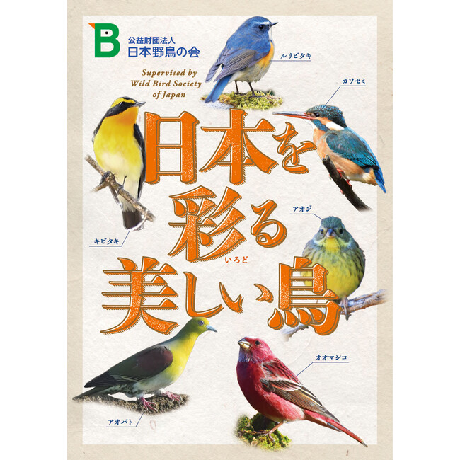 色とりどりの野鳥たちを楽しめるポスター『日本を彩る美しい鳥』を無料プレゼント！