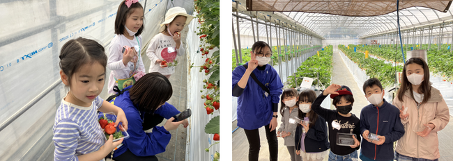 【こどもの休日の過ごし方】年中～小学生向け イチゴ狩り体験 ＆ 立体迷路チャレンジツアー開催！