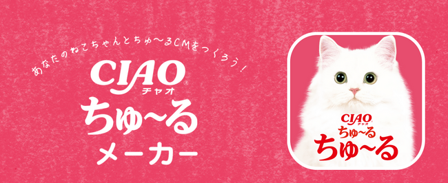 あなたの猫ちゃんがTVデビュー!?いなばのCIAOちゅ～るでCM出演が可能な猫ちゃんを大募集