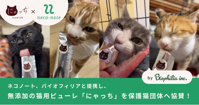 「猫の日」直前！保護猫の推し活ネコノート、バイオフィリアと提携し、無添加の猫用ピューレ「にゃっち」を保護猫団体へ協賛！