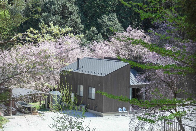 オーパークおごせは隠れた桜の名所！　ベストビューのお部屋予約オプションや360度桜の木に囲まれた貸切キャンプサイトの販売を開始しました