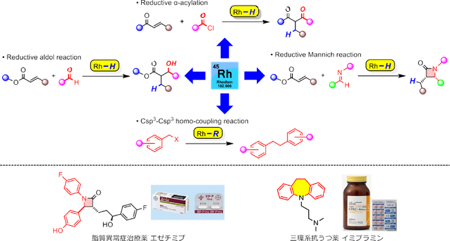 【摂南大学】受賞　薬学部 医薬品化学研究室 佐藤 和之准教授が「第２２回（２０２４年度）有機合成化学協会関西支部賞」を受賞