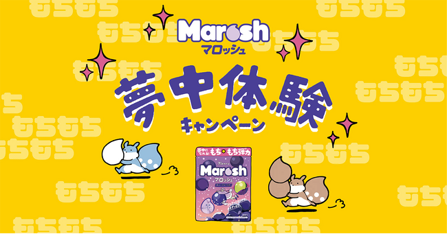 LINEで応募完了！カンロ、「マロッシュ」のキャンペーンにレシート応募型システム「GEPPY」を採用、応募数1万件越え