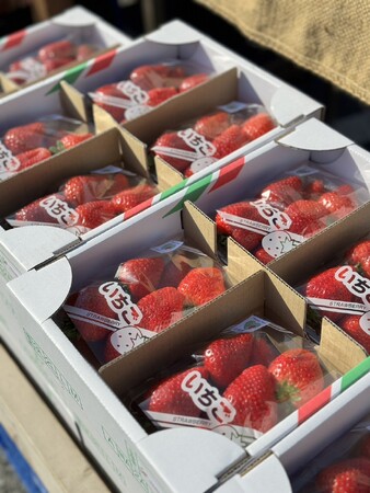 5年間の累計いちご販売数100万パック！80件の農家さんと繋がる栃木の農産直売所あぜみち様々ないちごイベントを開催