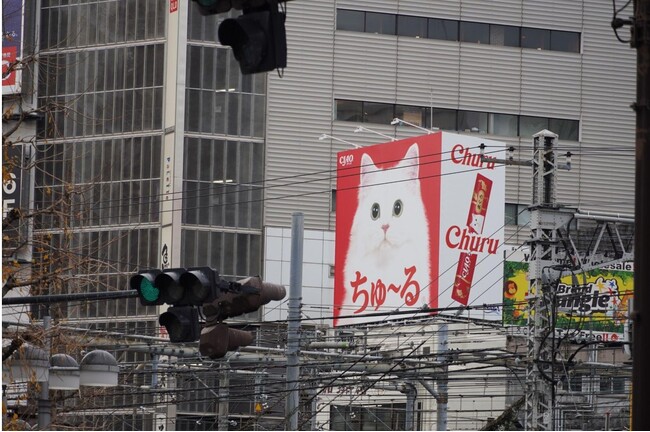 新宿西口にいなばの「CIAOちゅ～る」看板広告を掲出