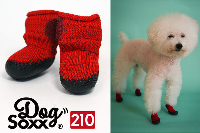「脱げない犬靴」の決定版!DogSoxx210、ついに始動