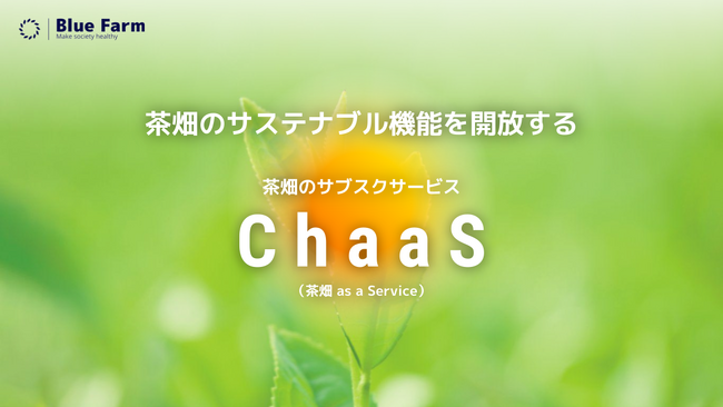茶畑を持つことで、未来を変える。『環境価値創出型サブスクサービスChaaS』を提供開始