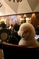 同会場の別イベントの様子(2) 同会場の別イベントの様子(2)