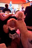 同会場の別イベントの様子(3) 同会場の別イベントの様子(3)