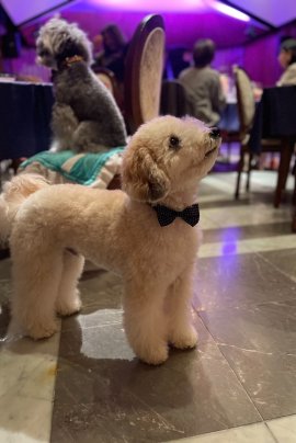 同会場の別イベントの様子 同会場の別イベントの様子