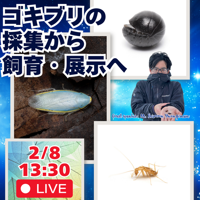 【福岡県大牟田市】大牟田市動物園　もともとゴキブリが嫌いだったゴキブリストをお招きしたYouTubeライブ配信のお知らせ