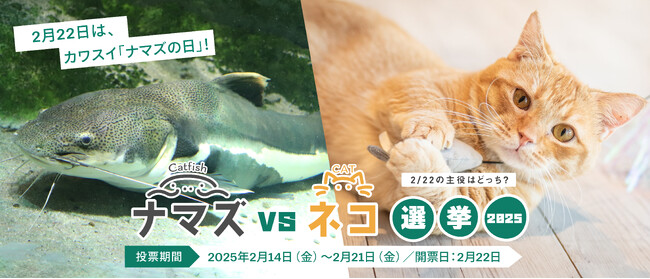 2月22日は『カワスイ「ナマズ」の日』！猫の日のコラボレーション特別企画 「ナマズ vs ネコ 選挙2025」を開催します！