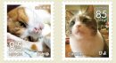 リターン特典 飼い猫を切手にして本に掲載 リターン特典 飼い猫を切手にして本に掲載