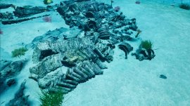 伊豆沖遺跡群「葵の御紋瓦」 伊豆沖遺跡群「葵の御紋瓦」