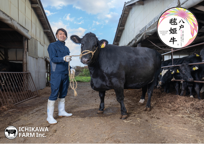「動物園より大切に育てる」旨みの極みへ 「八戸毬姫牛」グルタミン酸28mg/100gを記録!
