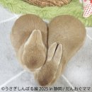 うさぎしんぼる展 展示作品3 うさぎしんぼる展 展示作品3