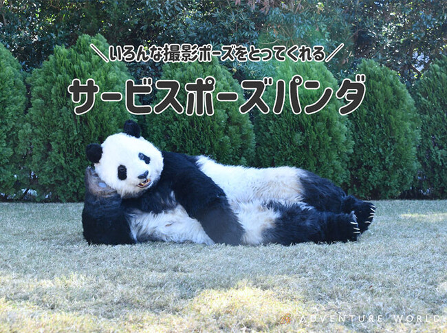 JR特急くろしお６０周年×ジャイアントパンダ日中共同繫殖研究３０周年記念　ジャイアントパンダのキャラクター「すみれ（Smile）」が新大阪駅に出張！新種パンダ「駅長パンダ」が登場します！